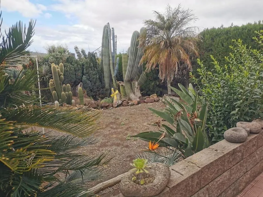 Los Cactus location