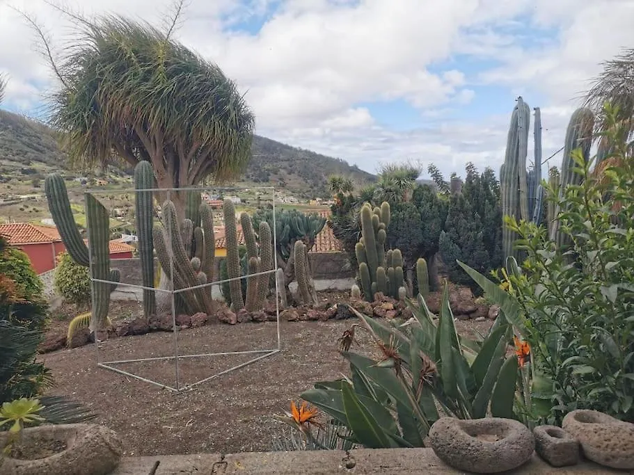 Los Cactus Santa Cruz de Tenerife Apartment